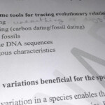 Name Some Tools For Tracing Evolutionary Relationships