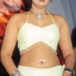 Old Tamil Actress Vindhya Hot Navel Photos ACTRESS RARE PHOTO GALLERY