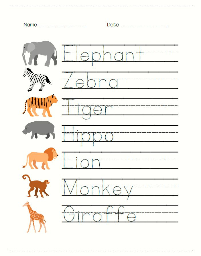 Safari Animal Math And Writing Worksheets For PreK With Images