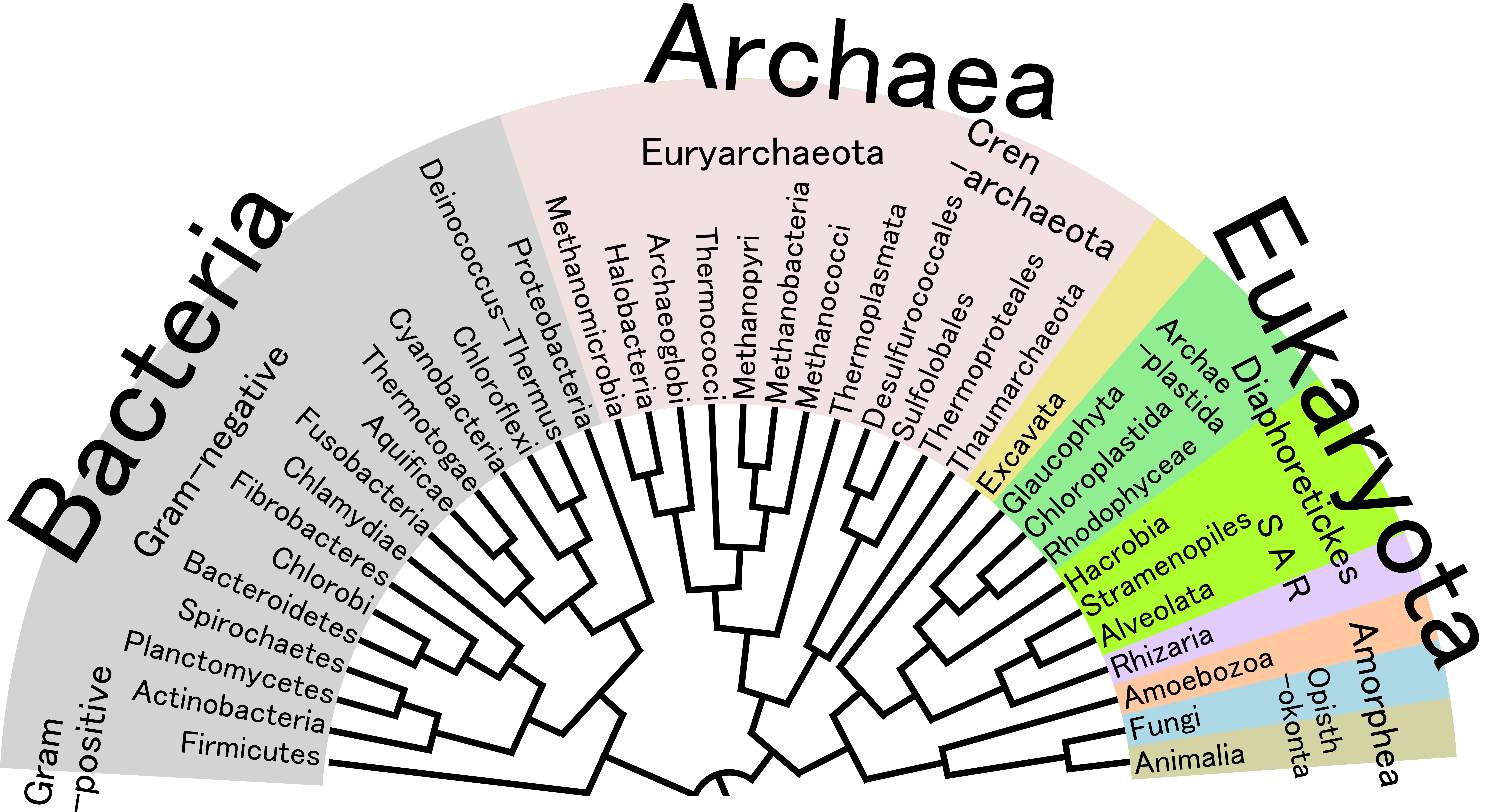 Scientists Just Discovered Organisms That Are Distinct From Any Life 