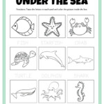 Sea Animal Worksheets And Coloring Pages Hawaii Travel With Kids