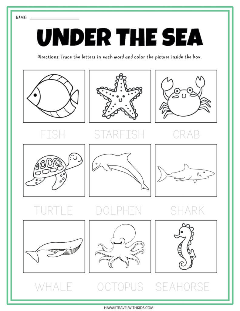 Sea Animal Worksheets And Coloring Pages Hawaii Travel With Kids