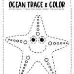 The Starfish Worksheets 99Worksheets