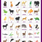 Wild Animals Chart Animals Wild Animals And Their Homes Zoo Animals