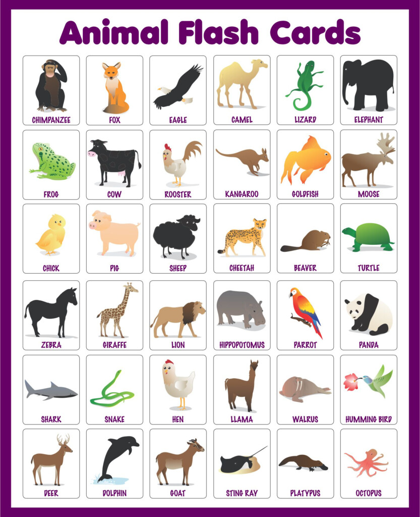 Wild Animals Chart Animals Wild Animals And Their Homes Zoo Animals 