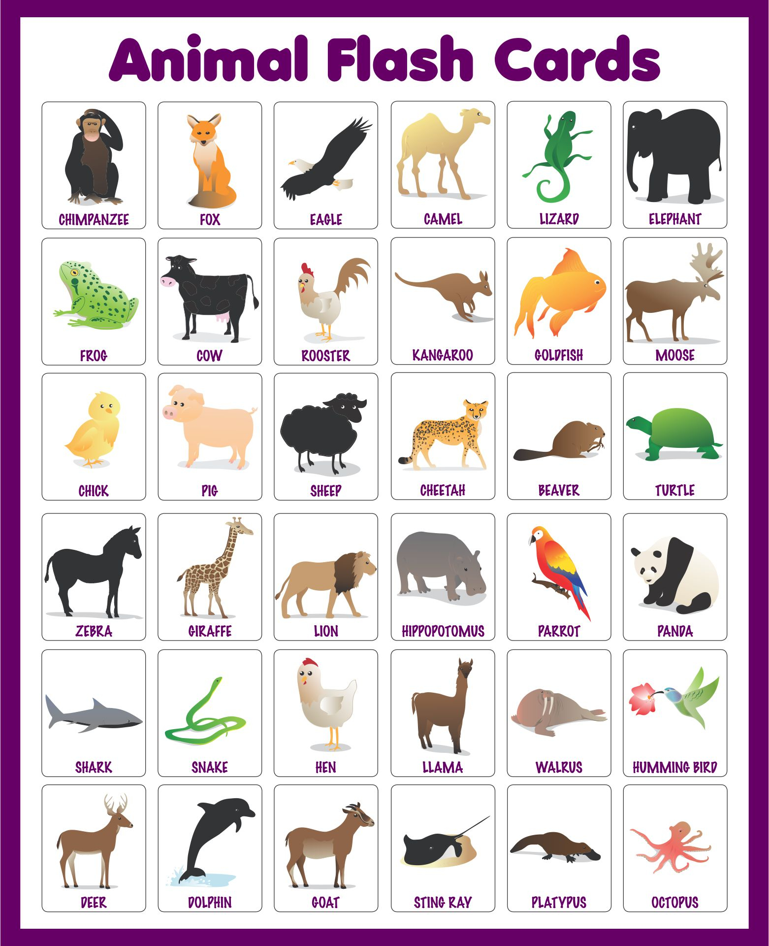 Animal Flash Cards Printable Printable World Holiday