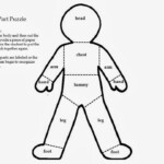Human Body Crafts Idea For Kids Preschool And Kindergarten