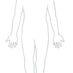 Human Body Diagram Contour Human Body Diagram Human Body Printables